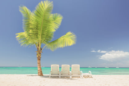 Coconut Tree and Chairs in Beach Print 100% Australian Made