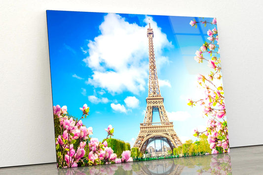 Eiffel Tower In Paris with Pink Flowers Acrylic Glass Print Tempered Glass Wall Art 100% Made in Australia Ready to Hang