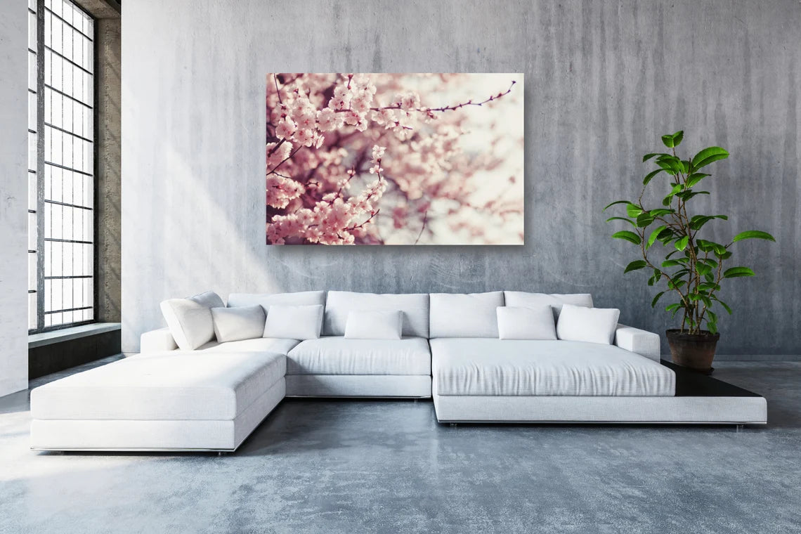 Japanese Cherry Blossom Flower Acrylic Glass Print Tempered Glass Wall Art 100% Made in Australia Ready to Hang