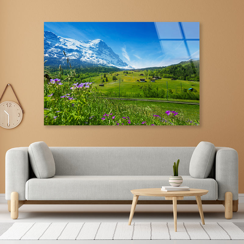 Blooming Flowers with Beautiful Sky & Mountains Acrylic Glass Print Tempered Glass Wall Art 100% Made in Australia Ready to Hang