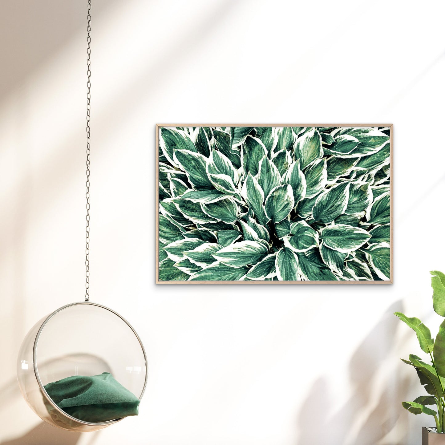 Variegated Hosta Leaves Green Botanical Foliage Pattern Wall Art Decor 100% Australian Made