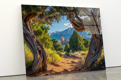 Trees with Mountains Acrylic Glass Print Tempered Glass Wall Art 100% Made in Australia Ready to Hang - Bella Home Decor