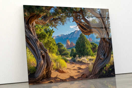 Trees with Mountains Acrylic Glass Print Tempered Glass Wall Art 100% Made in Australia Ready to Hang - Bella Home Decor