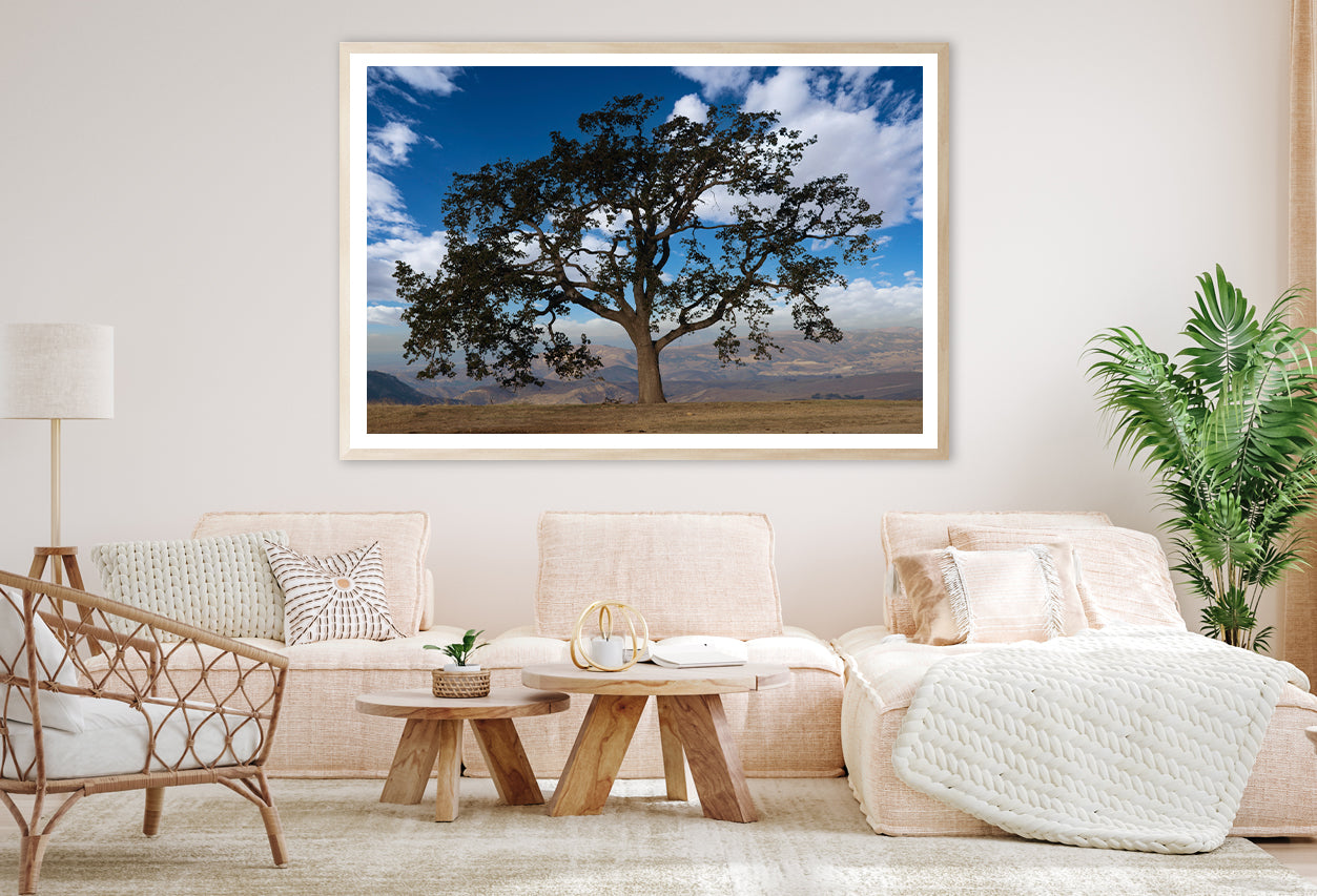 Lone Oak Tree with Clouds in California Home Decor Premium Quality Poster Print Choose Your Sizes