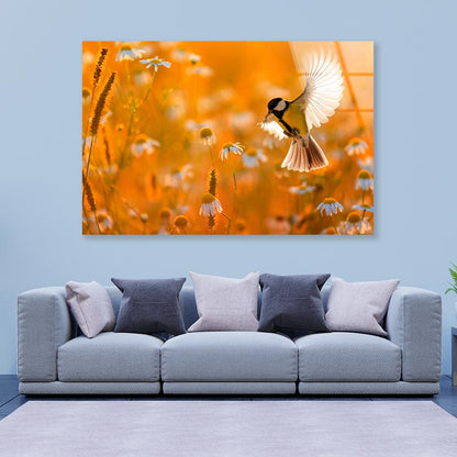 Little Bird Yellow Tit Flies Over a Field  Acrylic Glass Print Tempered Glass Wall Art 100% Made in Australia Ready to Hang