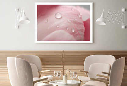 Pink Flower With Water Drops Home Decor Premium Quality Poster Print Choose Your Sizes