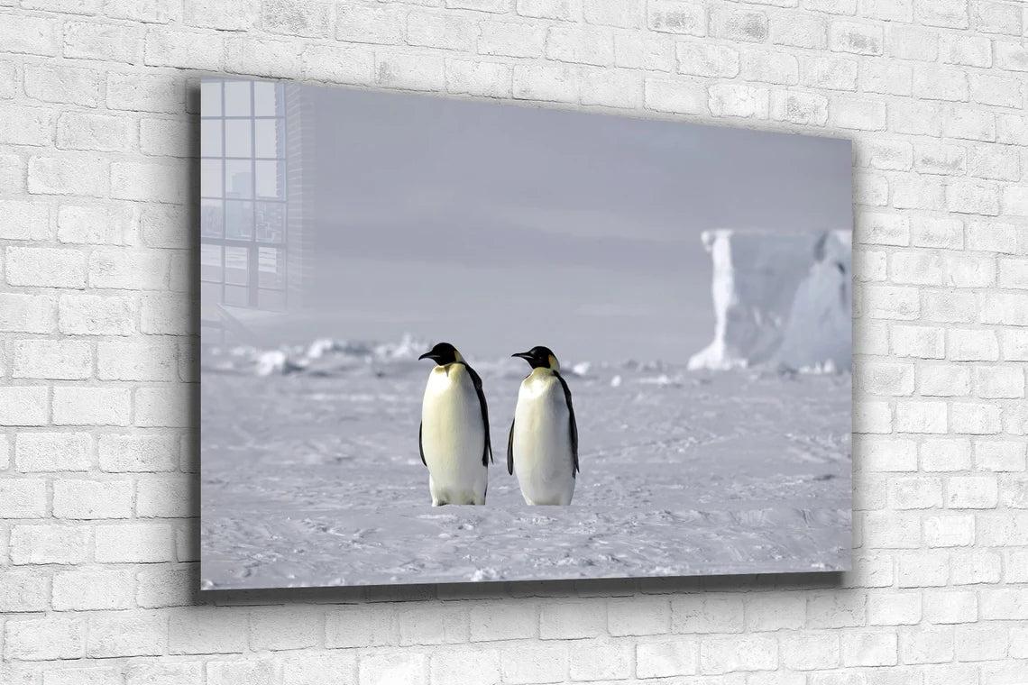 Penguins on Ice Field UV Direct Aluminum Print Australian Made Quality