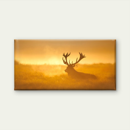 Red Deer Stag Sunset United Kingdom Wall Art Canvas Office Home Room Framed 120x60cm