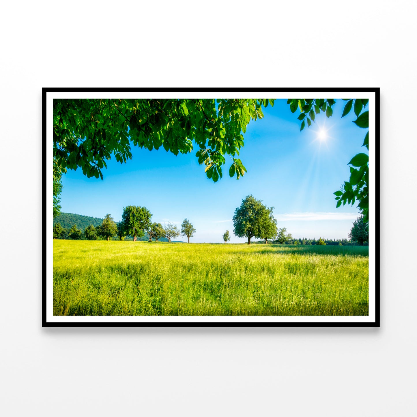 Green Meadow with Fruit Trees in the Sunshine Home Decor Premium Quality Poster Print Choose Your Sizes