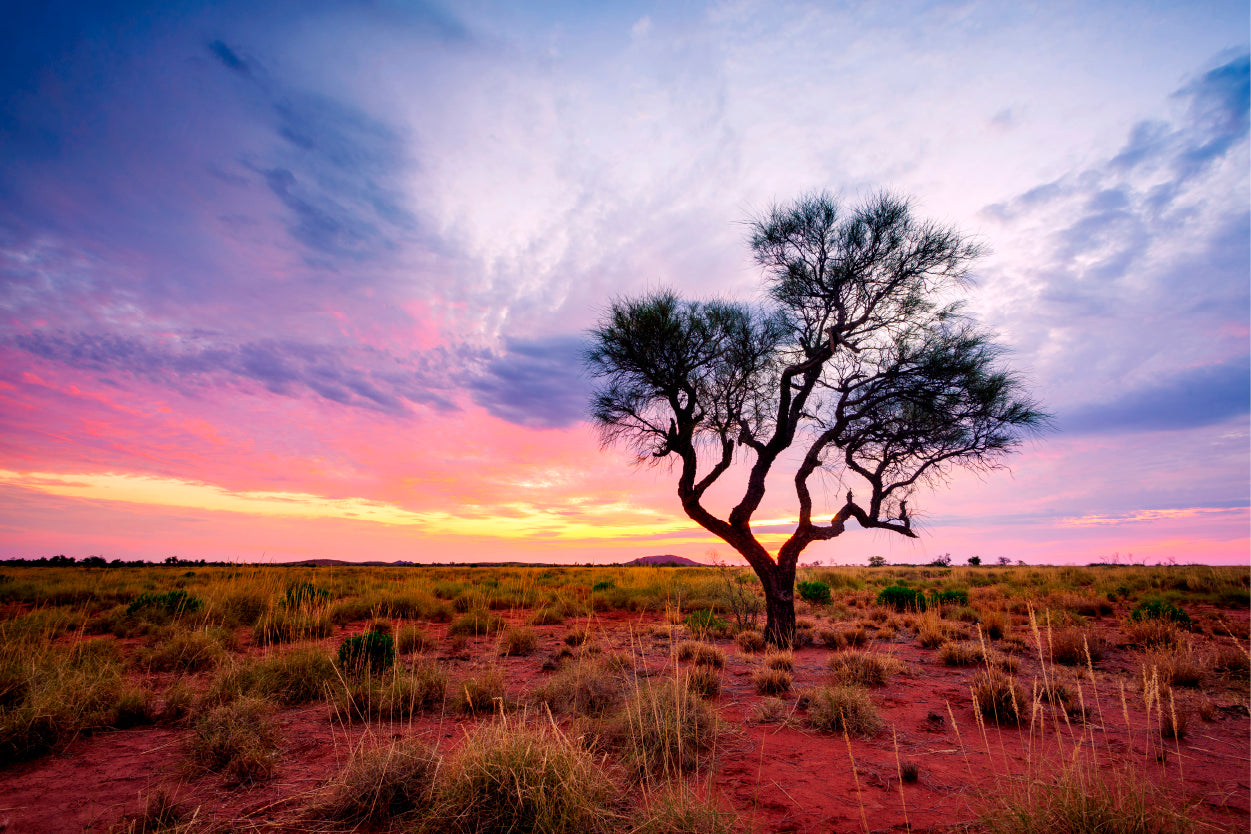 Australian Outback Sunset Desert Wall Art Decor 100% Australian Made - Bella Home Decor