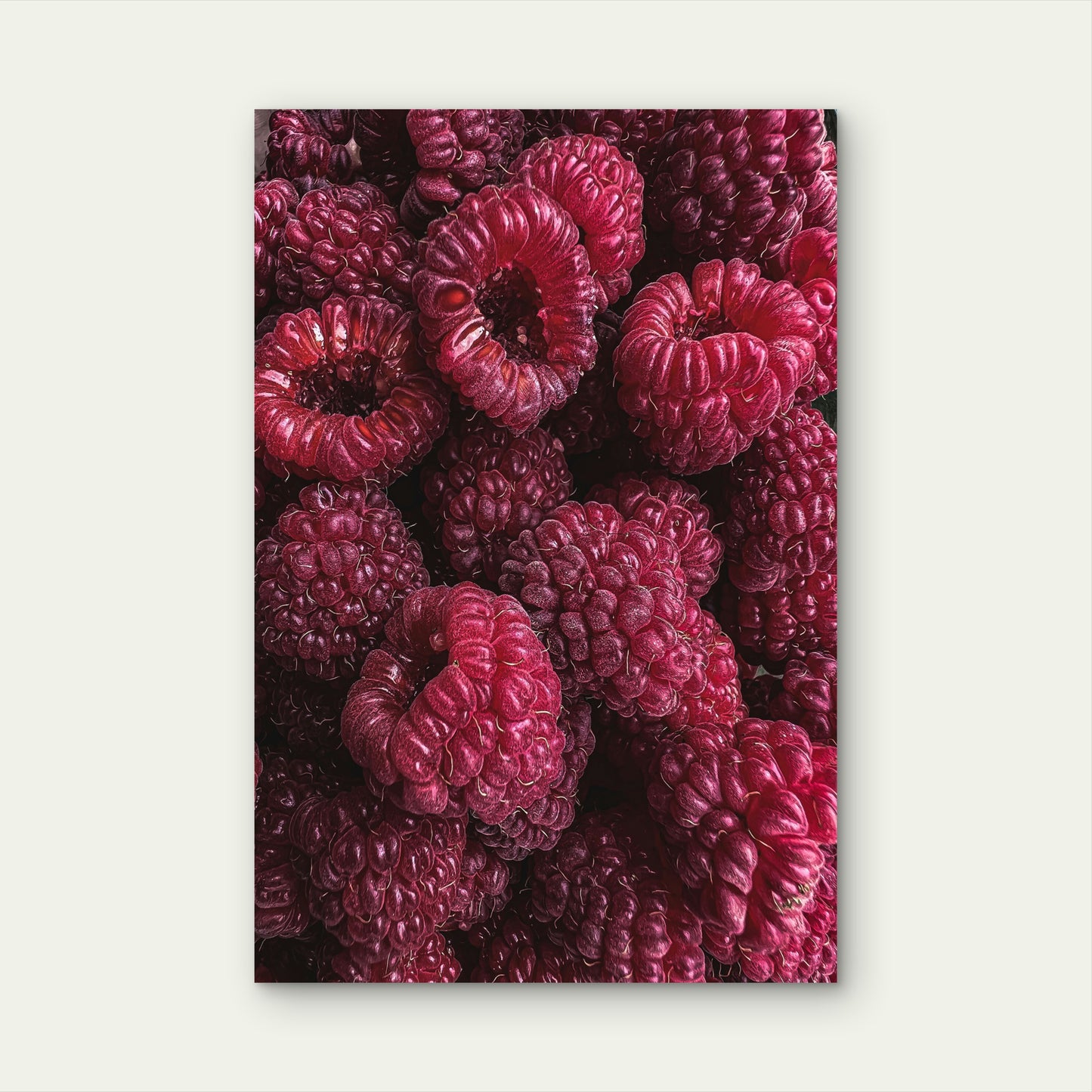 Close-Up of Fresh Raspberries 60x90cm Metal Print Ready to Hang