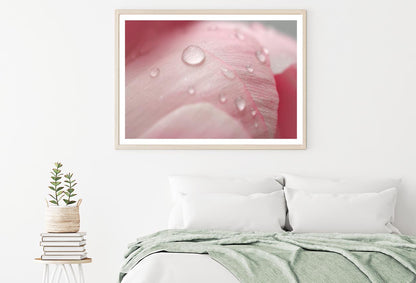 Pink Flower With Water Drops Home Decor Premium Quality Poster Print Choose Your Sizes