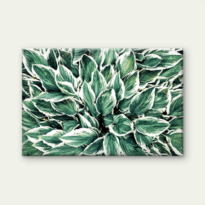 Variegated Hosta Leaves Green Botanical Foliage Pattern Wall Art Decor 100% Australian Made