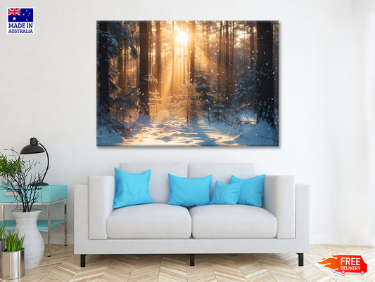 Snowy Forest with Trees through Sunlight Print 100% Australian Made - Bella Home Decor
