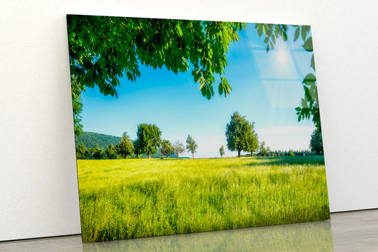 Green Meadow with Fruit Trees in the Sunshine Acrylic Glass Print Tempered Glass Wall Art 100% Made in Australia Ready to Hang