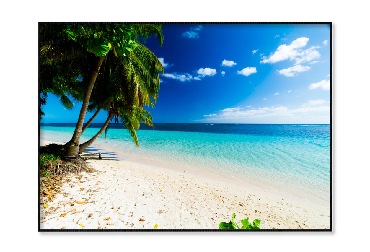 Palm Trees Ocean Beach Samoa Home Decor Premium Quality Poster Print Choose Your Sizes