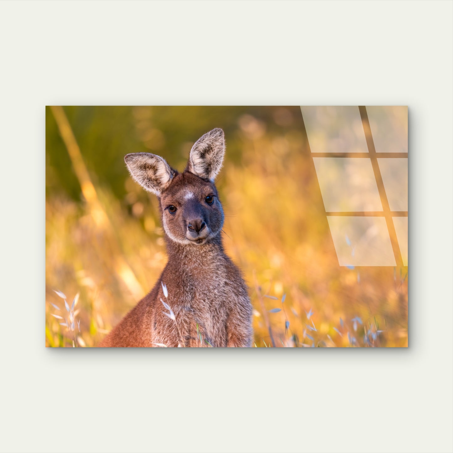 Australian Kangaroo Outback Sunset Acrylic Glass Printing Wall Art Australian Made Quality