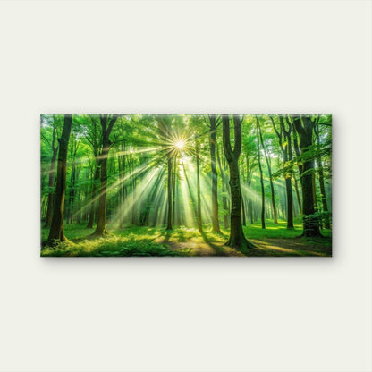 Luminous Nature Forest Canvas Wall Art Canvas Office Home Room Framed 120x60cm