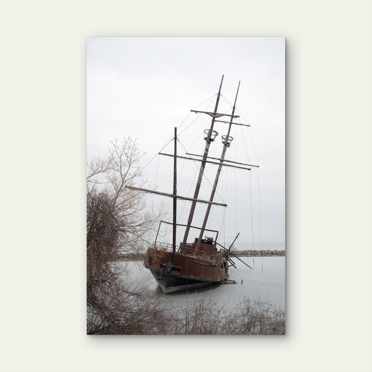 Vertical Shot Grande Hermine Lincoln Canada 40x60cm Metal Print Ready to Hang