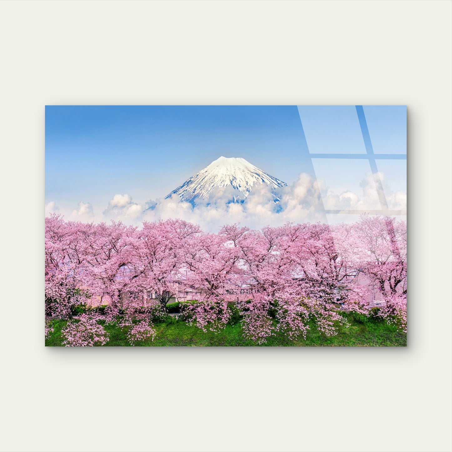Mount Fuji Snow Peak with Pink Cherry Blossoms Acrylic Glass Printing Wall Art Australian Made Quality