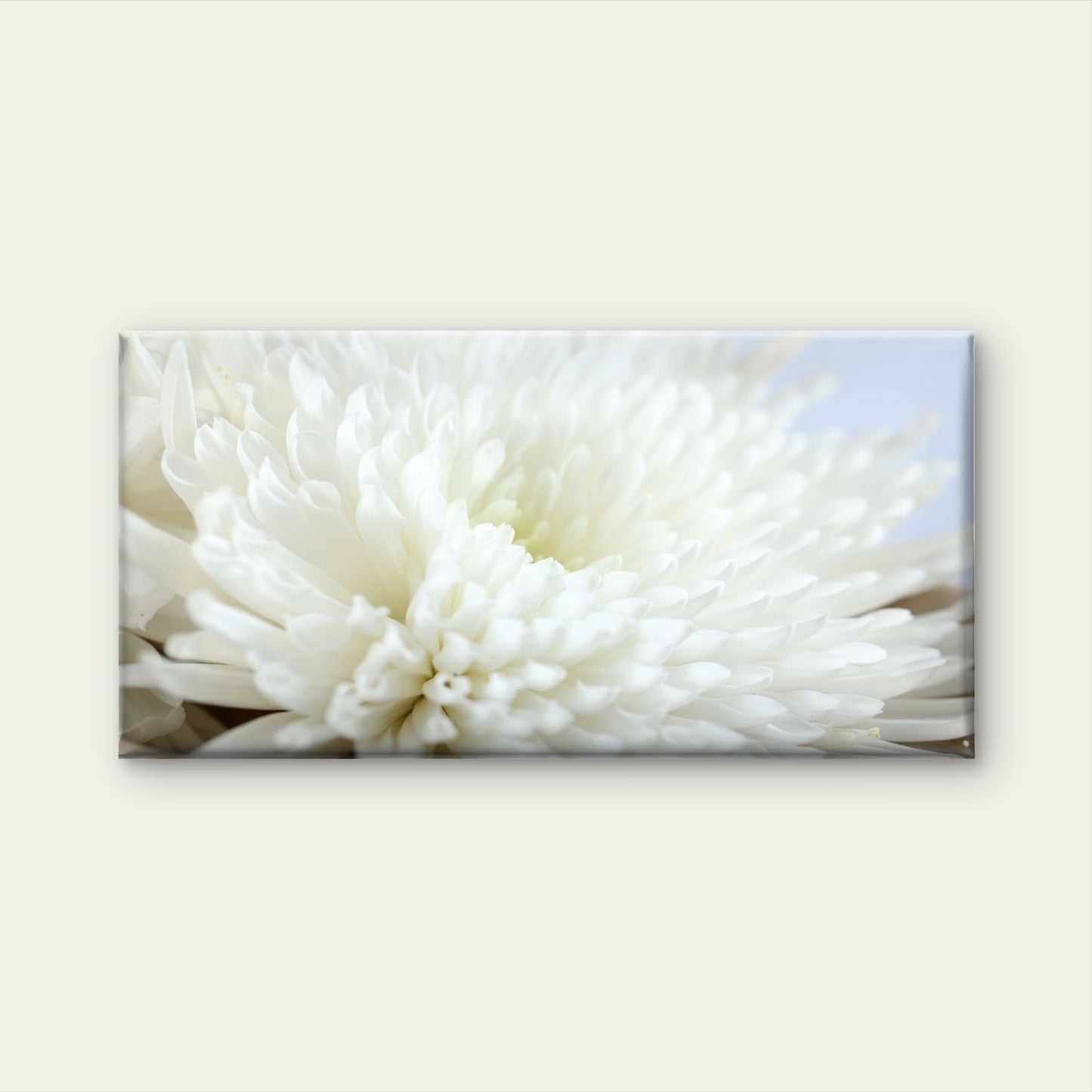 White Anastasia Spider Flower Wall Art Canvas Office Home Room Framed 120x60cm