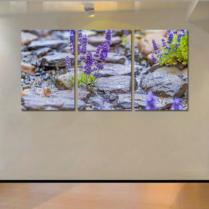3pcs Sun-Drenched Meadow with Rocks Wall Art Set Canvas Framed 50x70cm - High Quality Print 100% Australian Made Wall Canvas Ready to Hang