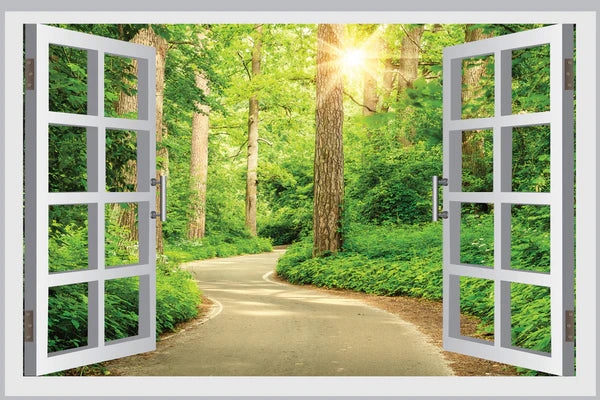 Road Between Forest View from Window Photograph 90x60cm Print 100% Australian Made