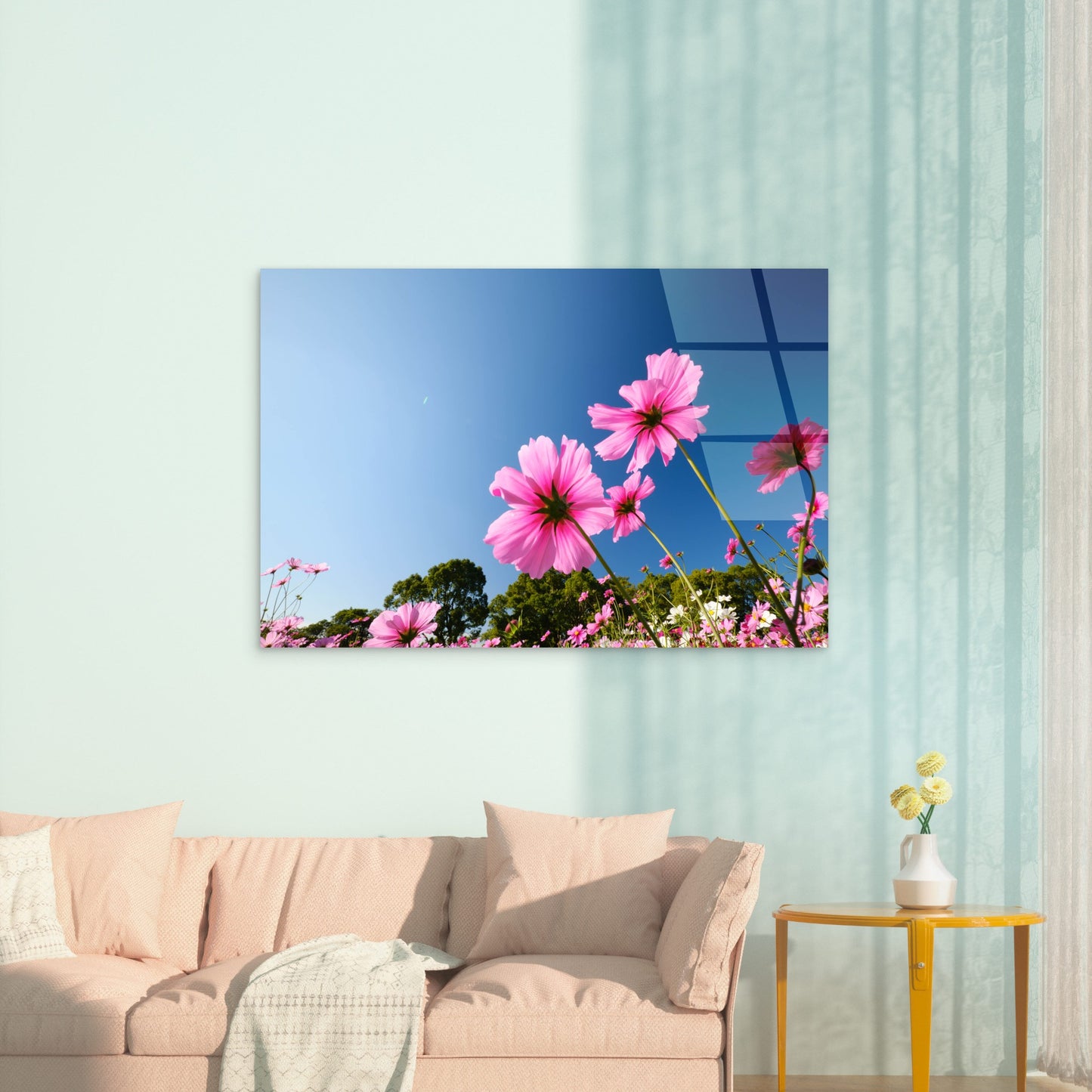 Pink Cosmos Flowers Field Blue Sky   Acrylic Glass Printing Wall Art Australian Made Quality
