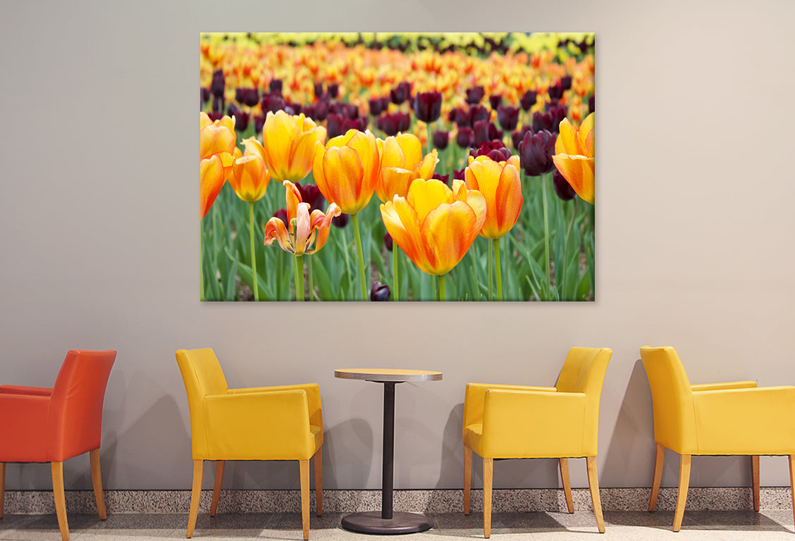 Flowers in Hot Springs Arkansas Wall Art Decor 100% Australian Made - Bella Home Decor