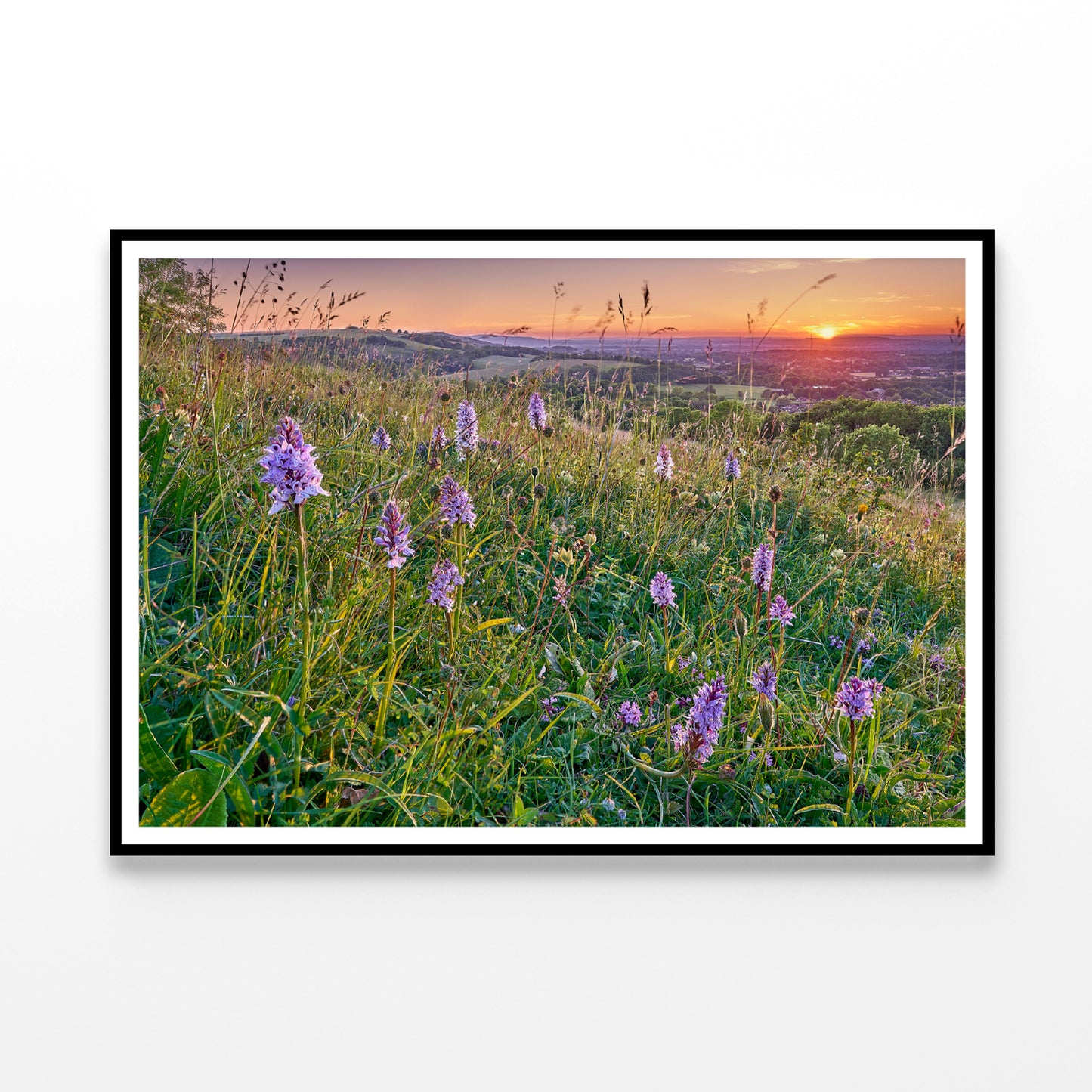 View of Grassland with Orchids, Mountains Home Decor Premium Quality Poster Print Choose Your Sizes