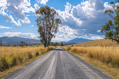Road with Trees, Sky & Mountains Home Decor Premium Quality Poster Print Choose Your Sizes - Bella Home Decor