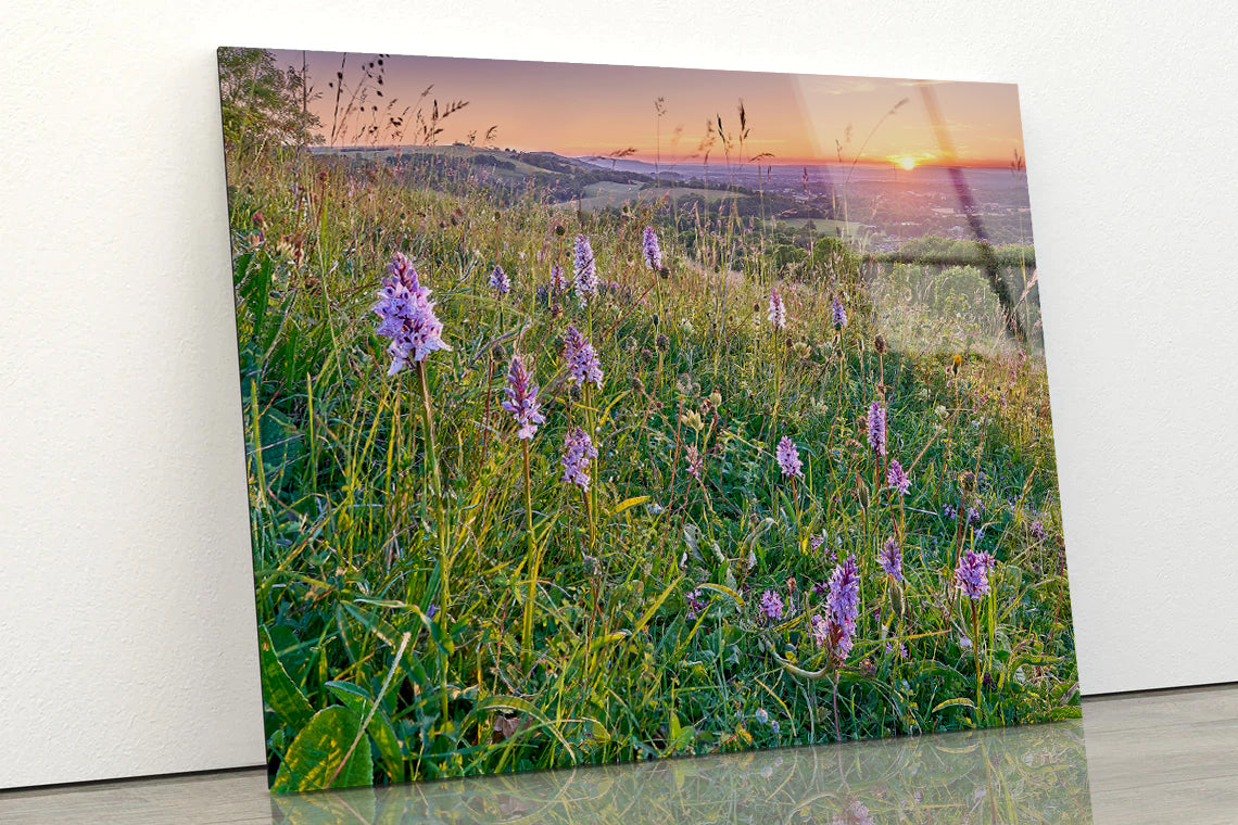 View of Grassland with Orchids, Mountains Acrylic Glass Print Tempered Glass Wall Art 100% Made in Australia Ready to Hang