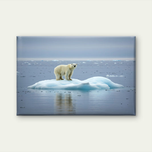 Polar Bear Ice Svalbard Norway Wall Art Decor 100% Australian Made