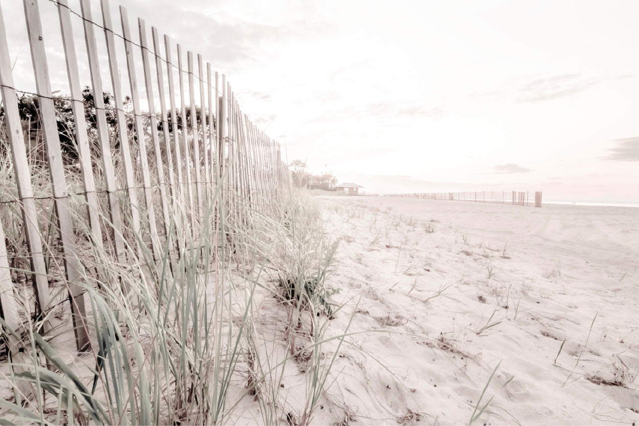 Fence & Sandy Seashore Plants Faded Photograph Glass Framed Wall Art, Ready to Hang Quality Print