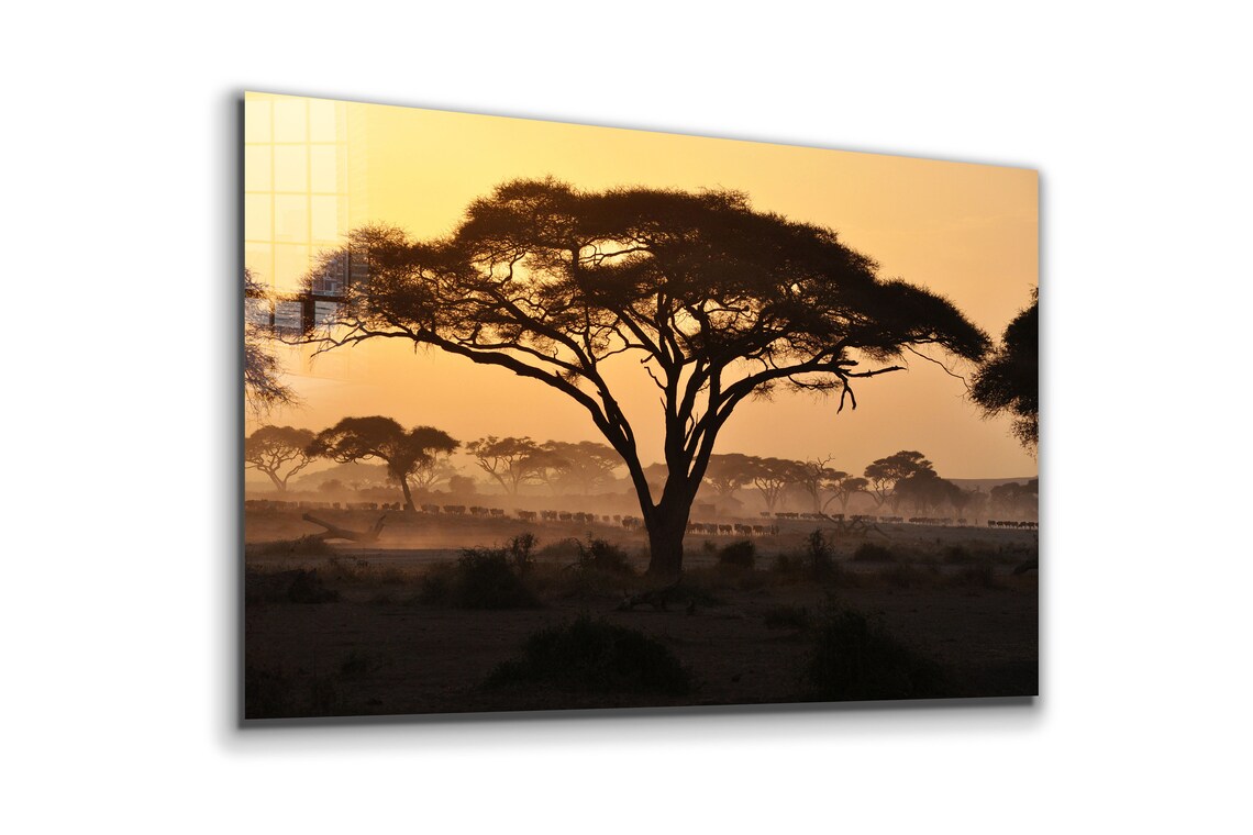 Savannah Forest Sunset UV Direct Aluminum Print Australian Made Quality