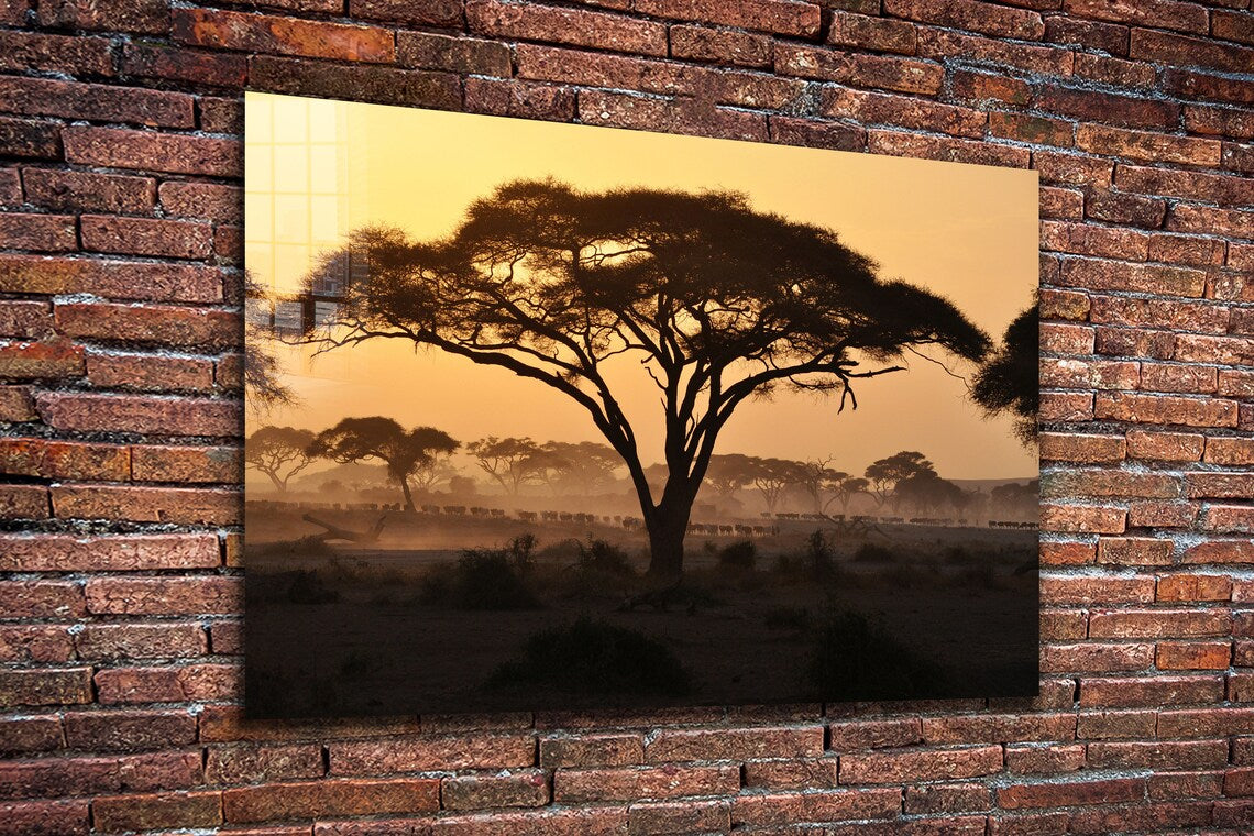 Savannah Forest Sunset UV Direct Aluminum Print Australian Made Quality