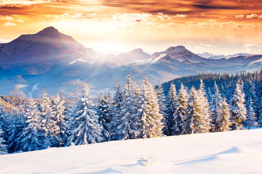 Fantastic Evening Winter Landscape Acrylic Glass Print Tempered Glass Wall Art 100% Made in Australia Ready to Hang - Bella Home Decor