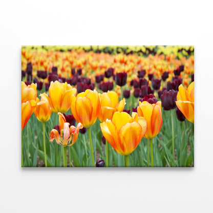 Flowers in Hot Springs Arkansas Wall Art Decor 100% Australian Made - Bella Home Decor