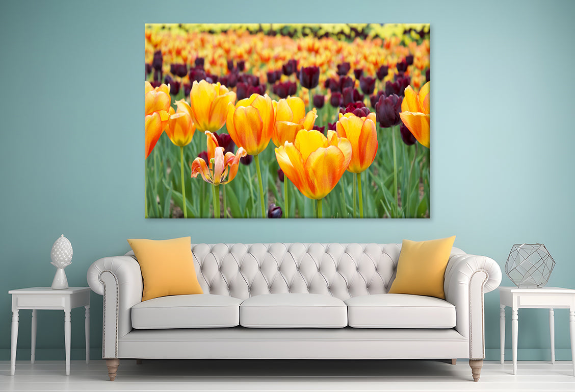 Flowers in Hot Springs Arkansas Wall Art Decor 100% Australian Made - Bella Home Decor