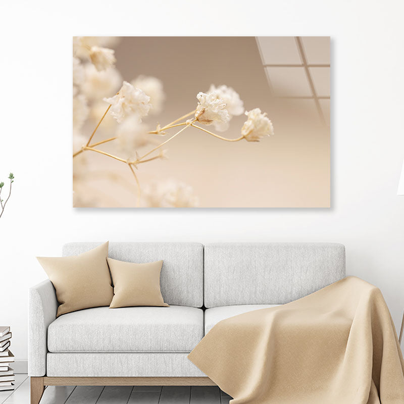 Gypsophila White Flowers Acrylic Glass Print Tempered Glass Wall Art 100% Made in Australia Ready to Hang