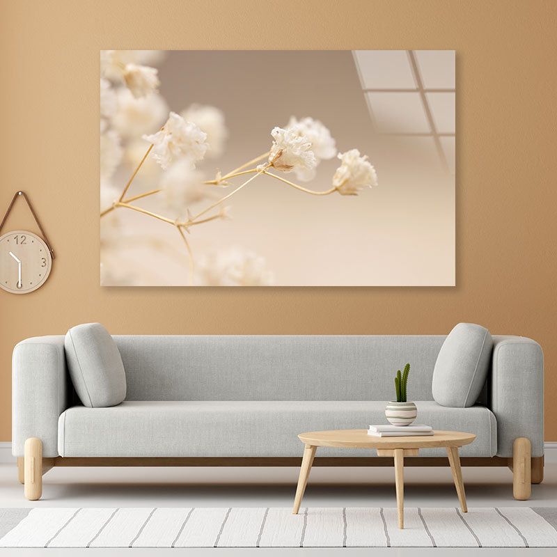 Gypsophila White Flowers Acrylic Glass Print Tempered Glass Wall Art 100% Made in Australia Ready to Hang