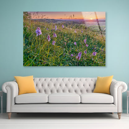 View of Grassland with Orchids, Mountains Acrylic Glass Print Tempered Glass Wall Art 100% Made in Australia Ready to Hang