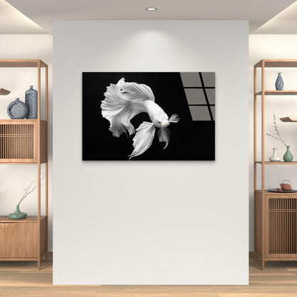 White Siamese Fighting Fish Acrylic Glass Printing Wall Art Australian Made Qualit
