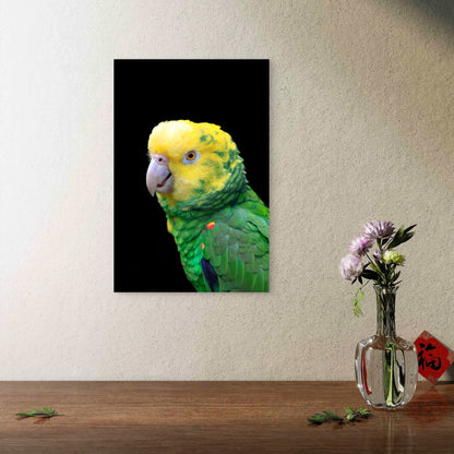 Close Up of Yellow-Headed Amazon Parrot 60x90cm Metal Print Ready to Hang