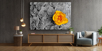 Yellow Rose B&W Roses UV Direct Aluminum Print Australian Made Quality