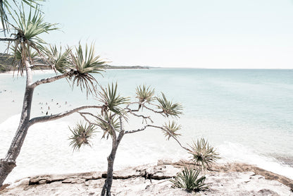 Trees on Rocks near Sea Faded Photograph Glass Framed Wall Art, Ready to Hang Quality Print