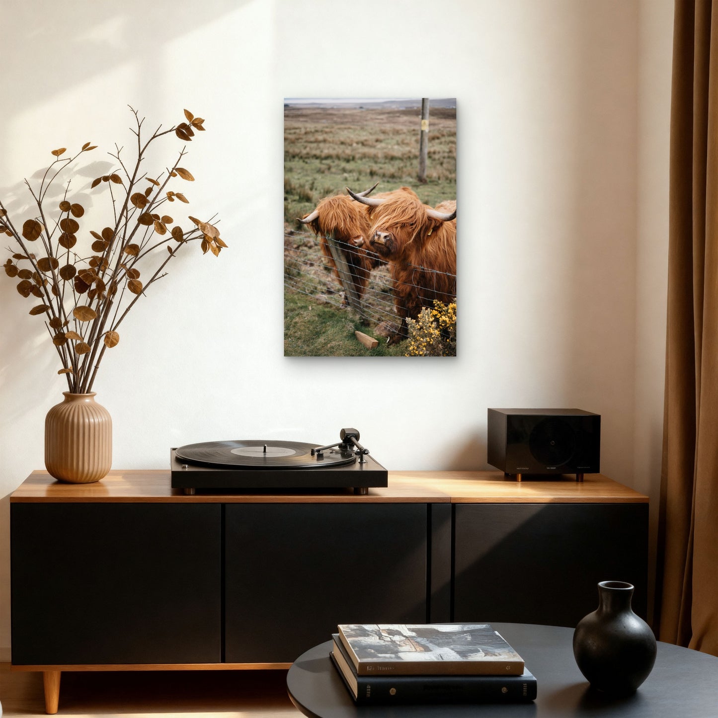 Long Haired Cows Standing Next To A Fence 40x60cm Metal Print Ready to Hang