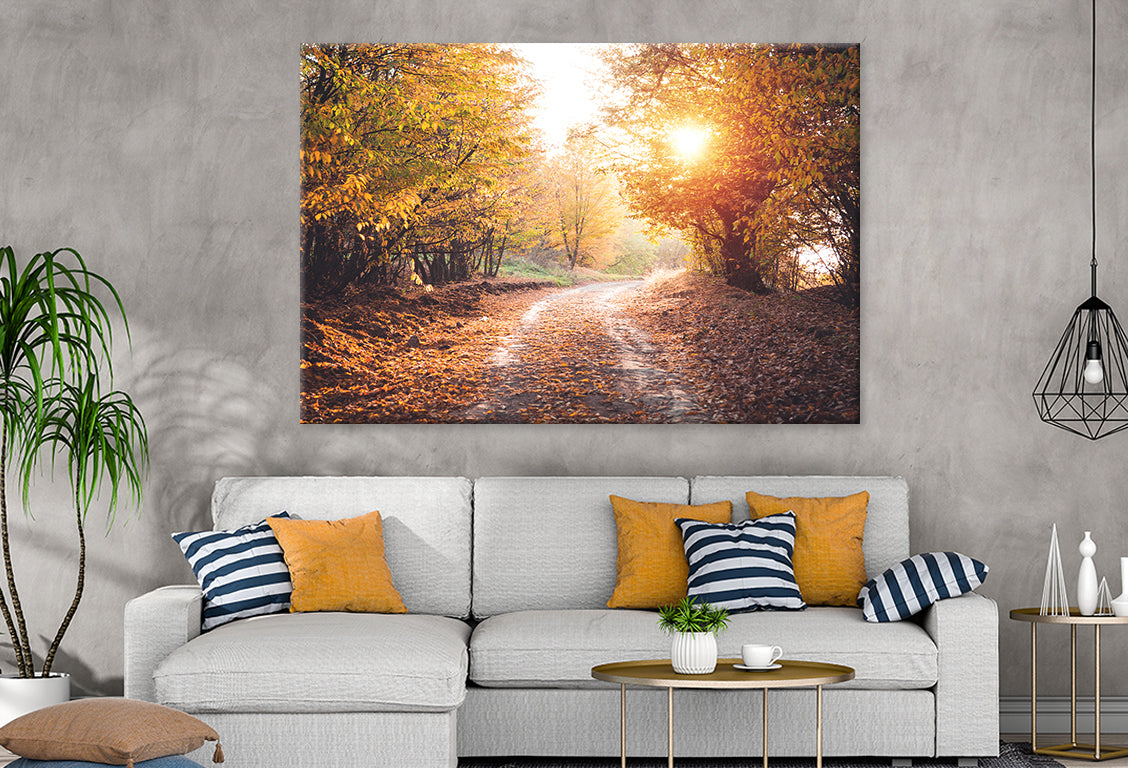 Autumn Forest with Sunlight Beams Wall Art Decor 100% Australian Made