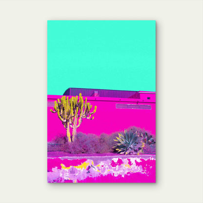 Cactus Pink Wall Blue Sky Minimalist Tropical 60x90cm Metal Print Ready to Hang