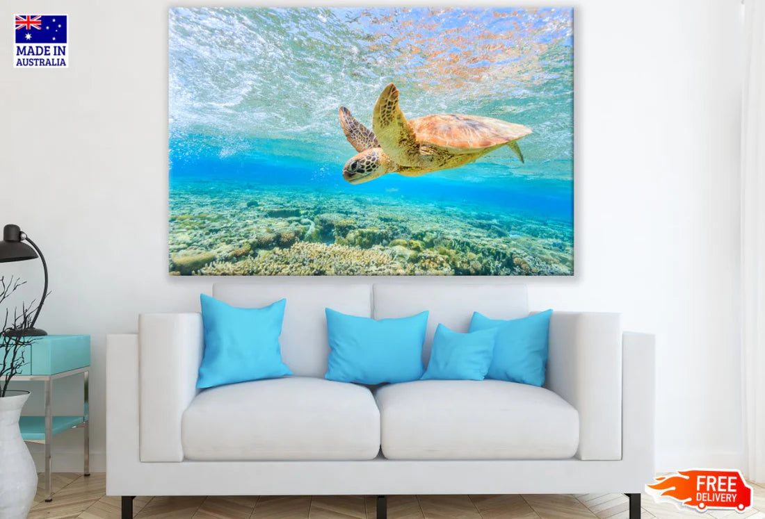 Turtle in Sea Photograph 90x60cm Print 100% Australian Made